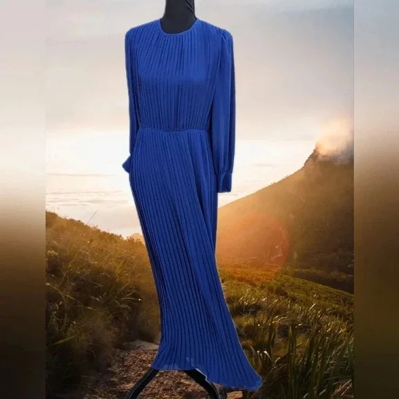 Vintage Pleated Chiffon Dress- Japanese- Robe de Command- Floor length Georgette - Picture 4 of 16